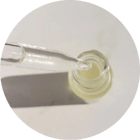 Bacillus-Ferment